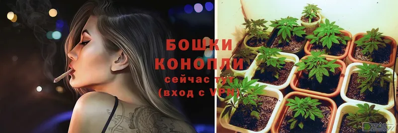 Марихуана SATIVA & INDICA  Сосновка 